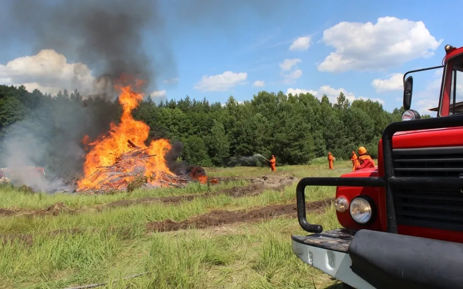 В лесах Нижегородской области с 17 апреля объявлен пожароопасный сезон